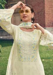 Meraki  BAGH